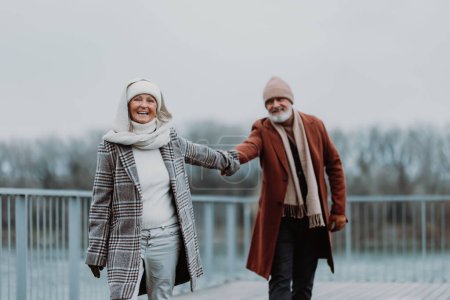 Téléchargez les photos : Élégant couple de personnes âgées marchant près d'une rivière, pendant la froide journée d'hiver. - en image libre de droit