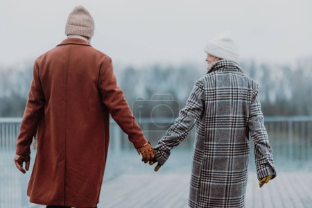 Téléchargez les photos : Vue arrière d'un élégant couple de personnes âgées marchant près d'une rivière, pendant la froide journée d'hiver. - en image libre de droit