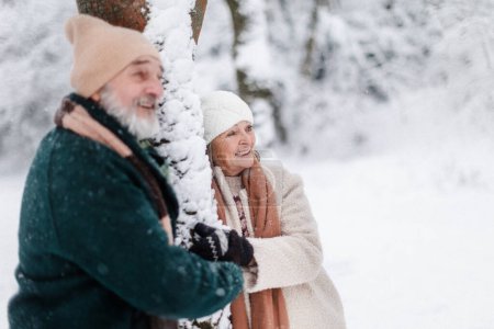 Téléchargez les photos : Élégant couple de personnes âgées debout près d'un arbre dans le parc enneigé, pendant la froide journée enneigée d'hiver. Couple de personnes âgées passant des vacances d'hiver dans les montagnes. Paysage hivernal. - en image libre de droit