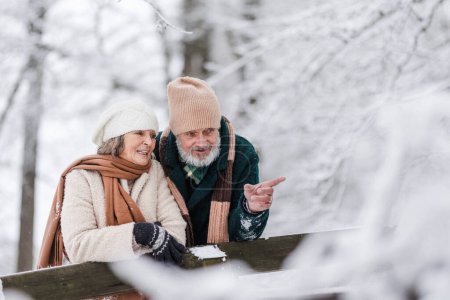 Téléchargez les photos : Élégant couple de personnes âgées marchant dans le parc enneigé, pendant la froide journée enneigée d'hiver. Couple âgé bénéficiant d'une vue sur le lac gelé depuis le pont. Paysage hivernal. - en image libre de droit