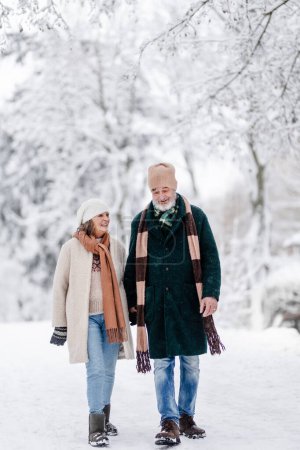 Foto de Elegante pareja de personas mayores caminando en el parque nevado, durante el frío día nevado de invierno. Pareja mayor pasando las vacaciones de invierno en las montañas. Paisaje invernal. - Imagen libre de derechos