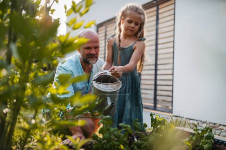Téléchargez les photos : Père et fille s'occupent des plantes dans le jardin, arrosant les fleurs. Papa et sa fille passent du bon temps ensemble, se lient. - en image libre de droit