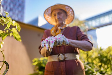 Foto de Retrato de una mujer mayor poniéndose guantes de jardinería en el jardín urbano. Mujer mayor cuidando plantas vegetales en huerto comunitario en su complejo de apartamentos. - Imagen libre de derechos