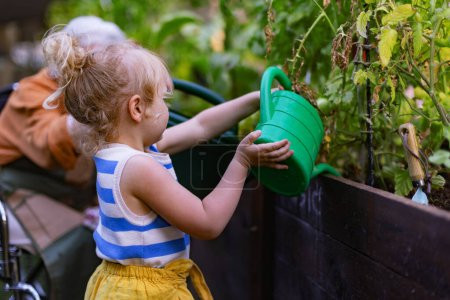 Téléchargez les photos : Portrait d'une petite fille adorable aidant sa grand-mère dans le jardin. Une jeune fille arrosant des plantes, s'occupe de légumes poussant dans des lits surélevés. - en image libre de droit