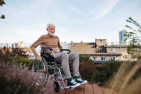 Téléchargez les photos : Homme âgé en fauteuil roulant assis à l'extérieur dans un jardin urbain, profitant d'une chaude journée d'automne. Portrait d'un homme âgé élégant aux cheveux gris et barbe dans le jardin sur le toit de la ville. - en image libre de droit
