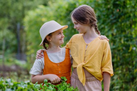Foto de Retrato de una monada hermanita en un jardín de otoño. Las jóvenes se miran entre ellas, sosteniendo una cesta llena de verduras y hierbas cosechadas. - Imagen libre de derechos