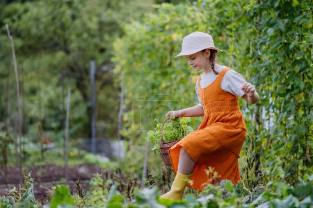 Photo for Portrait of a cute little girl in an autumn garden. The young girl in a dress and hat holding a basket full of harvested vegetable and herbs. - Royalty Free Image