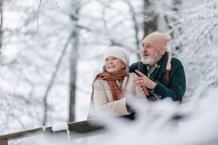 Téléchargez les photos : Élégant couple de personnes âgées marchant dans le parc enneigé, pendant la froide journée enneigée d'hiver. Couple âgé bénéficiant d'une vue sur le lac gelé depuis le pont. Paysage hivernal. - en image libre de droit