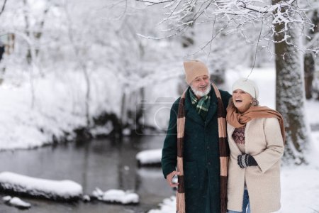 Foto de Elegante pareja de personas mayores caminando en el parque nevado, durante el frío día nevado de invierno. Pareja mayor pasando las vacaciones de invierno en las montañas. Paisaje invernal. - Imagen libre de derechos
