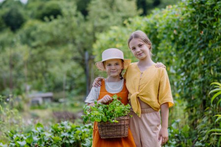 Foto de Retrato de una monada hermanita en un jardín de otoño. Las jóvenes se miran entre ellas, sosteniendo una cesta llena de verduras y hierbas cosechadas. - Imagen libre de derechos