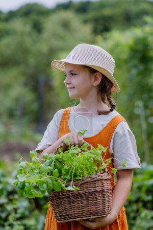 Téléchargez les photos : Portrait d'une jolie petite fille dans un jardin d'automne. La jeune fille en robe et chapeau tenant un panier plein de légumes récoltés et d'herbes. - en image libre de droit