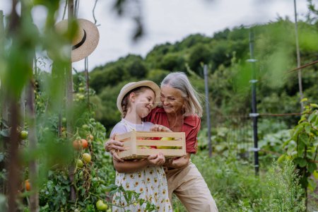 Téléchargez les photos : Portrait de grand-mère avec petite-fille avec caisse pleine de légumes. Concept d'importance de la relation grand-parents-petits-enfants. Jardinage intergénérationnel. - en image libre de droit