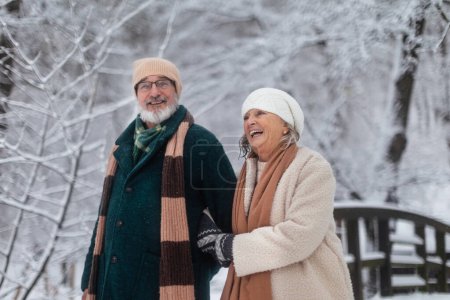 Téléchargez les photos : Élégant couple de personnes âgées marchant dans le parc enneigé, pendant la froide journée enneigée d'hiver. Couple de personnes âgées passant des vacances d'hiver dans les montagnes. Paysage hivernal de Noël. - en image libre de droit