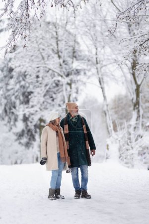 Téléchargez les photos : Portrait corporel complet d'un élégant couple de personnes âgées marchant dans le parc enneigé, pendant la froide journée enneigée d'hiver. Couple de personnes âgées passant des vacances d'hiver dans les montagnes. Paysage hivernal de Noël. - en image libre de droit
