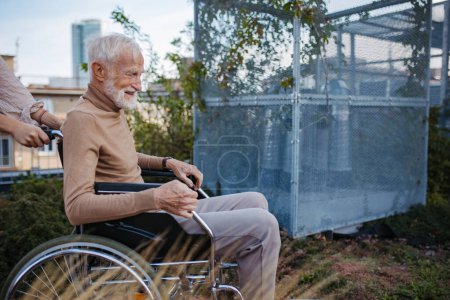 Téléchargez les photos : Portrait d'un homme âgé en fauteuil roulant assis à l'extérieur dans un jardin urbain, profitant d'une chaude journée d'automne. Portrait d'un homme âgé élégant aux cheveux gris et barbe dans le jardin sur le toit de la ville. - en image libre de droit