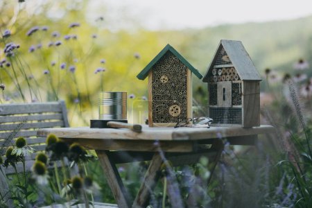 Téléchargez les photos : Maison d'insectes en bois à l'extérieur dans le jardin. Bug hôtel comme maison pour de nombreuses espèces d'insectes, écosystème de jardin et la biodiversité. Projet de bricolage. - en image libre de droit