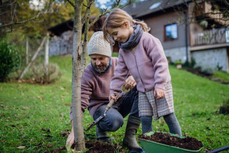 Photo for Little girl and father planting tree in garden in the spring, using compost. Concept of sustainable gardening family gardening. - Royalty Free Image