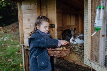 Foto de La niña está alimentando al conejo mascota, dándole verduras del jardín y pan viejo. - Imagen libre de derechos