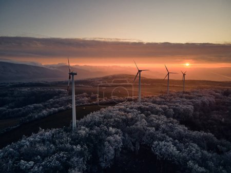 Téléchargez les photos : Photographie aérienne de paysage du lever du soleil sur la nature gelée avec des éoliennes. L'éolienne domine dans la douce lumière du matin avec des arbres glacés autour, l'harmonie de la nature et de la technologie. Concept de vent - en image libre de droit