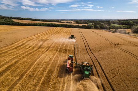 Foto de Vista aérea de un tractor una cosechadora que trabaja en el campo. Agricultura y cultivo de granjas industriales. Agroindustria. - Imagen libre de derechos
