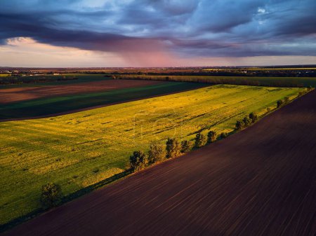 Foto de Vista aérea de campos de cultivo de verano verde, cultivos o pastos con durante el atardecer o la salida del sol. - Imagen libre de derechos