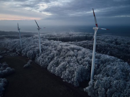 Aerial landscape photography of sunrise over frost-covered nature with wind turbines. Wind turbine towers in soft morning light with icy trees around, harmony of nature and technology. Concept of wind