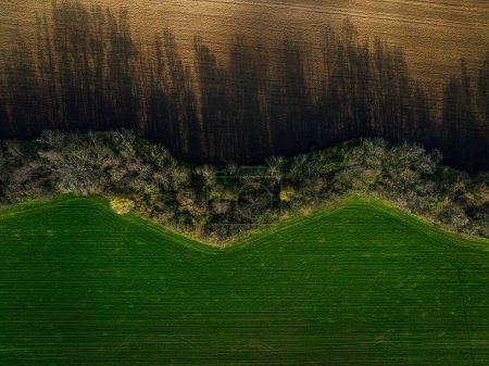 Photo for Aerial view of green summer farm fields, crops or pasture with during sunset or sunrise. - Royalty Free Image