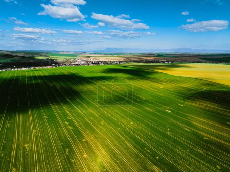 Foto de Vista aérea de campos de cultivo de verano verde, cultivos o pastos durante el cálido día de verano. - Imagen libre de derechos