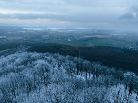 Photo for Aerial view of winter forest with frost or freeze line. Freezing on hills. Drone view of snowy landscape. - Royalty Free Image