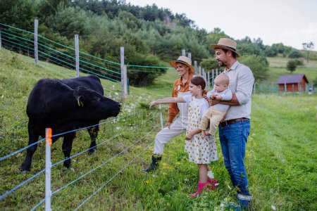 Téléchargez les photos : Portrait d'une famille d'agriculteurs regardant des animaux dans un enclos, des vaches. Animaux de ferme ayant un enclos idéal pour le pâturage. Concept d'agriculture multigénérationnelle et familiale. - en image libre de droit