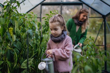 Kleines Mädchen beim Gießen, bei der Pflege der Pflanzen im Gewächshaus, in den ersten Frühlingstagen, letzten Herbsttagen. Konzept der Wassereinsparung im Garten und im Familiengarten.
