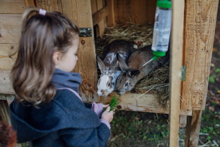 Foto de La niña está alimentando al conejo mascota, dándole verduras del jardín y pan viejo. - Imagen libre de derechos