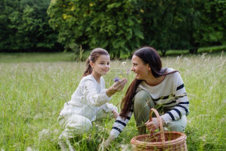 Téléchargez les photos : Une fille cueillant des fleurs, les donnant à sa mère. Concept de passe-temps écologique familial dans la nature et fête des mères. - en image libre de droit