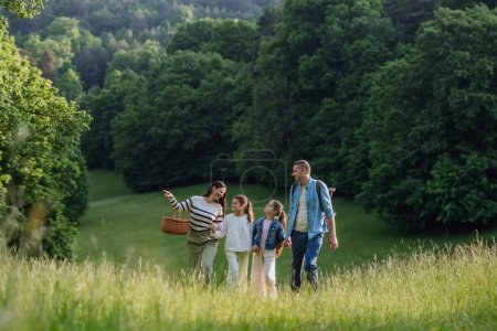 Family on walk in forest, going through meadow. Picking mushrooms, herbs and flowers picking in basket, foraging. Concept of family ecological hobby in nature.