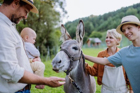 Photo for Portrait of farmer family petting donkey on their farm. A gray mule as a farm animals at the family farm. Concept of multigenerational farming. - Royalty Free Image
