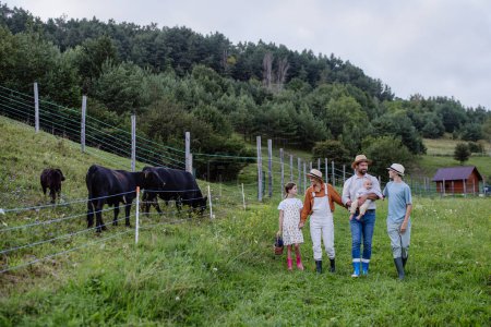 Téléchargez les photos : Vue arrière d'une famille de fermiers marchant avec des animaux, des vaches dans un enclos. Animaux de ferme ayant un enclos idéal pour le pâturage. Concept d'agriculture multigénérationnelle et familiale. - en image libre de droit