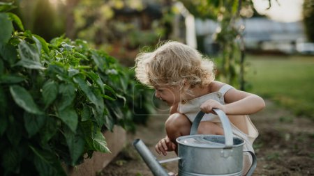 Téléchargez les photos : Petite fille accroupie par un lit de jardin surélevé, tenant un arrosoir en métal. Prendre soin d'un potager et cultiver, planter des légumes de printemps. - en image libre de droit