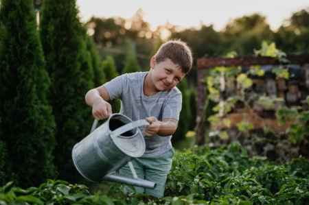 Téléchargez les photos : Jeune garçon arrosant lit de jardin surélevé, tenant arrosoir en métal. Prendre soin d'un potager et cultiver, planter des légumes de printemps. - en image libre de droit