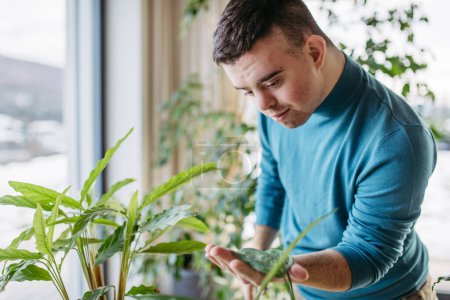 Young man with Down syndrome taking care of indoor plant, very carefull ytouching and snuggling plant leaf.
