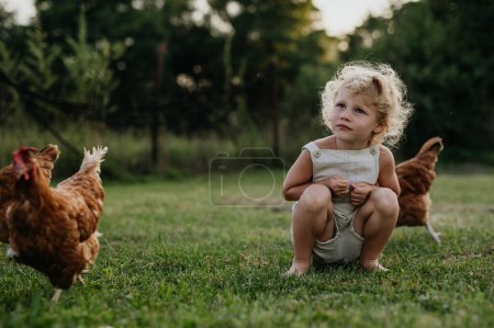 Photo for Little girl squating among chickens on a farm and chasing them. Having fun during the holidays at her grandparents countryside home. - Royalty Free Image