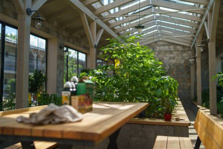 Foto de Hermoso invernadero de ladrillo de piedra con plantas en camas elevadas y mesa de trabajo. Fertilizantes y pesticidas sobre la mesa, cuidando plantas y vegetación. - Imagen libre de derechos