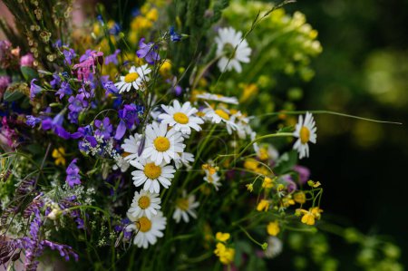 Foto de Hermoso ramo de flores del prado. Una colorida variedad de flores silvestres de verano. - Imagen libre de derechos