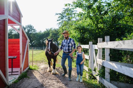 Photo for Portrait of a father and young daughter taking care of a horse on a farm, leading it to the paddock. Concept of multigenerational farming. - Royalty Free Image