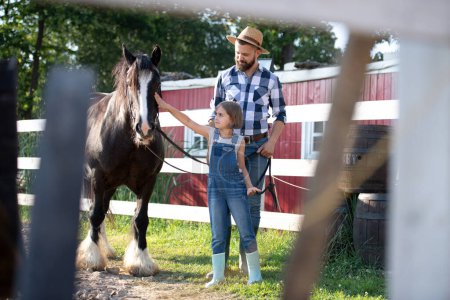 Photo for Portrait of a father and young daughter taking care of a horse on a farm, leading it to the paddock. Concept of multigenerational farming. - Royalty Free Image