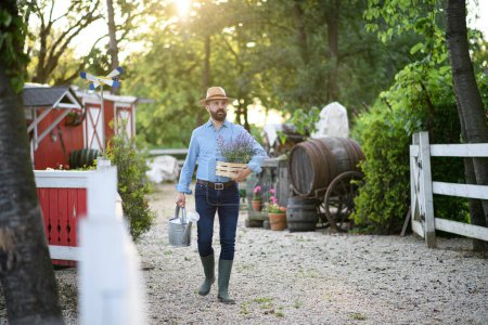 Téléchargez les photos : Portrait d'un beau fermier tenant une plante de lavande en pot, travaillant dans une ferme familiale. - en image libre de droit