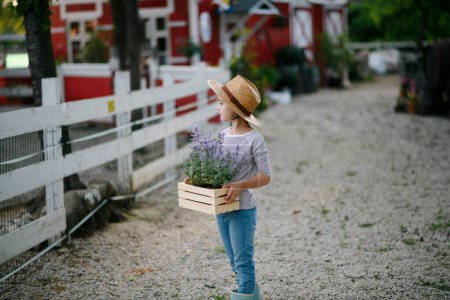 Téléchargez les photos : Belle jeune fille aidant sur la ferme familiale pendant l'été, tenant la plante de lavande en pot. . Futur agricultrice. - en image libre de droit
