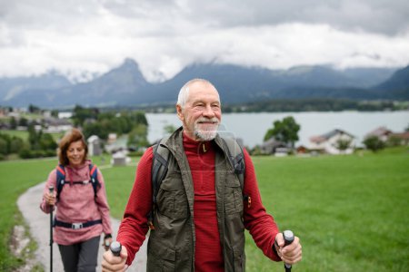 Photo for Portrait of active elderly couple hiking together in mountains. Senior tourists walking with trekking poles for stability. - Royalty Free Image