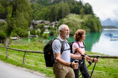 Téléchargez les photos : Portrait d'un couple de personnes âgées actives marchant ensemble dans les montagnes. Touristes seniors marchant avec des bâtons de trekking pour la stabilité. - en image libre de droit