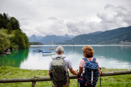 Téléchargez les photos : Vue arrière de beaux couples actifs âgés marchant ensemble dans les montagnes d'automne. Touristes seniors regardant un lac. - en image libre de droit