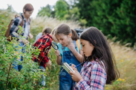Téléchargez les photos : Jeunes élèves apprenant sur la nature, l'écosystème forestier pendant les cours de biologie sur le terrain, observant les plantes sauvages à la loupe. Enseignante pendant l'éducation active en plein air. Journée des enseignants. - en image libre de droit